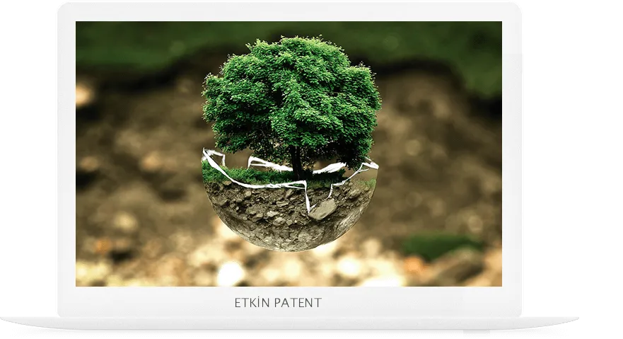 patent on koruma yöntemleri-erzurum web tasarım